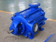 Multistage Ring Circle Pump to Rusia
